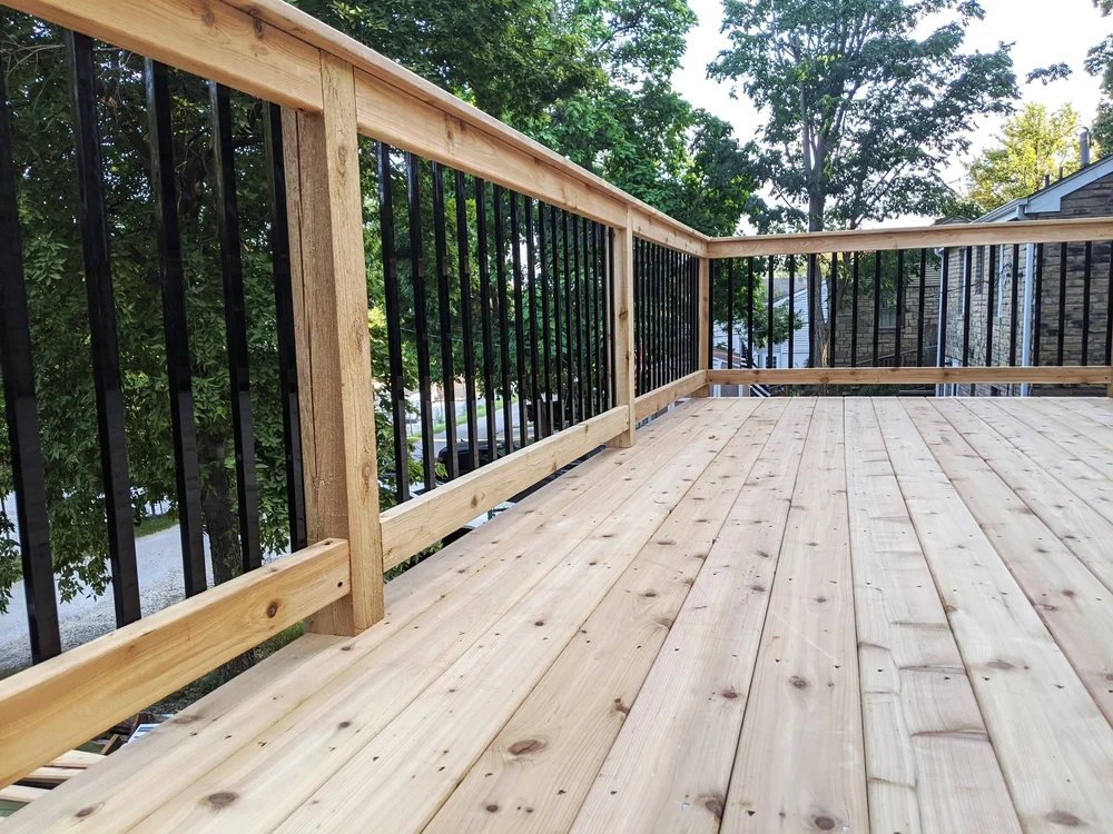 MVIMG_20200828_181943